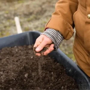 Basic Garden Soil