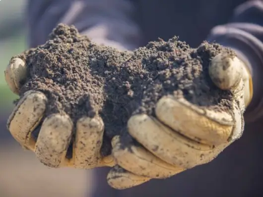 Premium Topsoil - Image 3